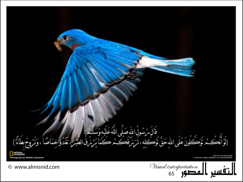 Card image cap